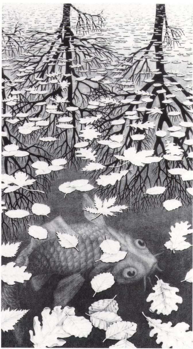 Unknown MC Escher Three Worlds